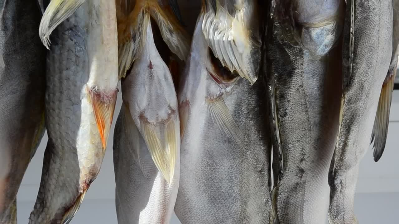 Stock Video Fish Hanging In A Market Live Wallpaper For PC - Free Download