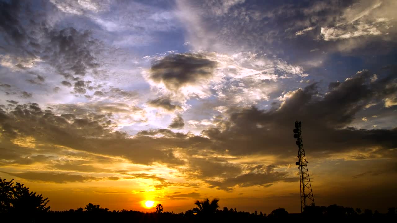 Free Video Stock sunrise over palms Live Wallpaper - Free Download