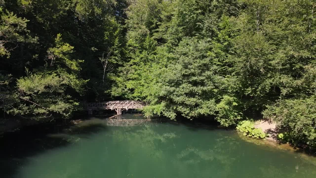 Stock Video Lake In A National Park In A Sunny Day Animated Wallpaper - Free Download