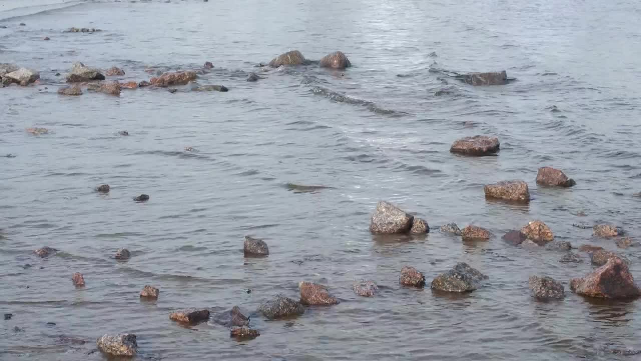 Stock Video Gentle Waves Over Pebbles Live Wallpaper For PC - Free Download
