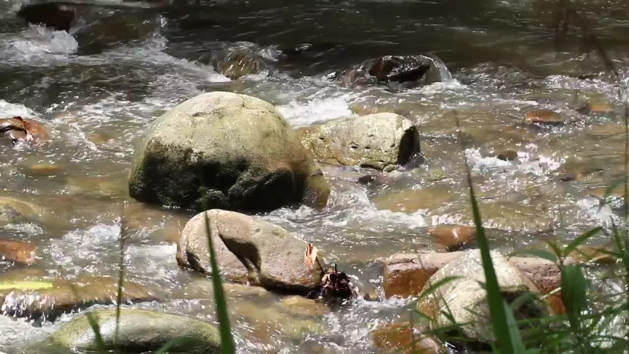 Free Stock Video Rocky Stream In The Hills Live Wallpaper - Free Download