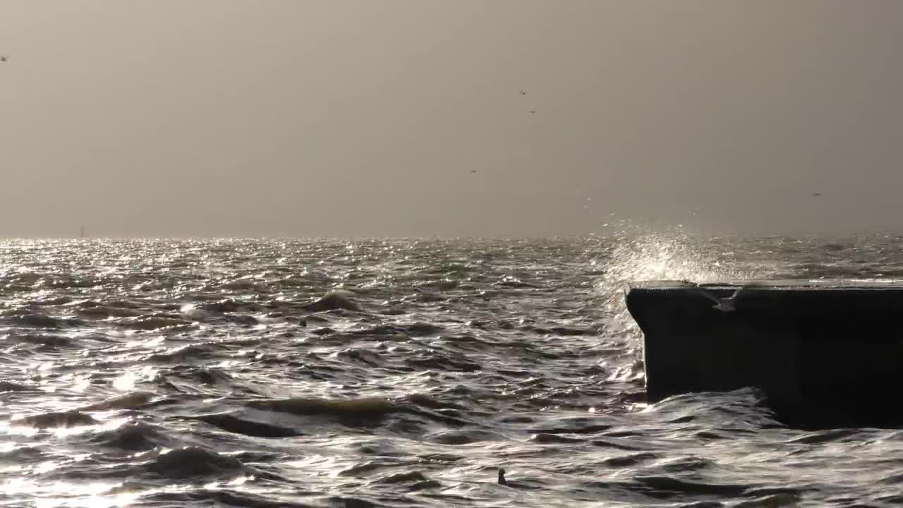Free Stock Video Sea Waves Hitting A Dock Live Wallpaper - Free Download