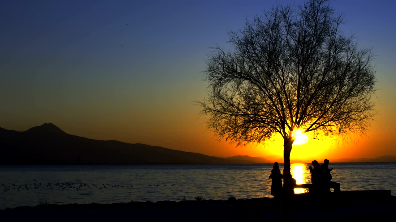 Free Stock Video Silhouettes Of People By The Sea At Sunset Live Wallpaper - Free Download