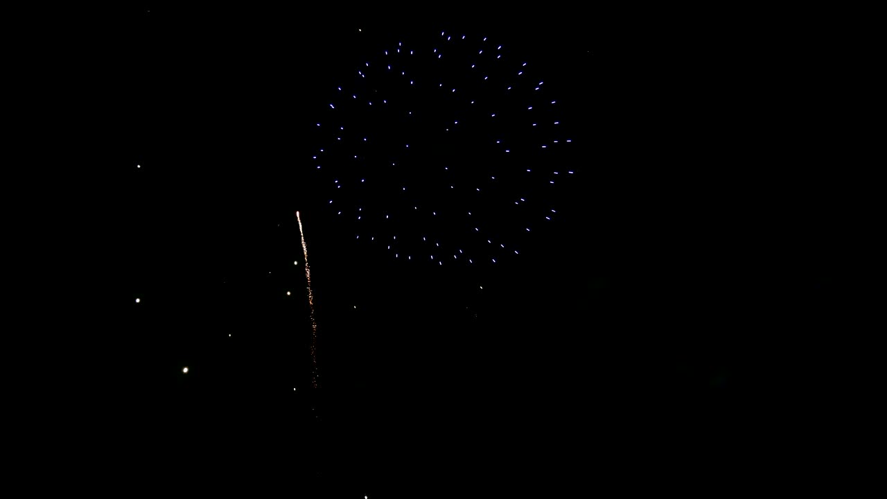 Stock Video Fireworks In The Night Sky Live Wallpaper For PC - Free Download