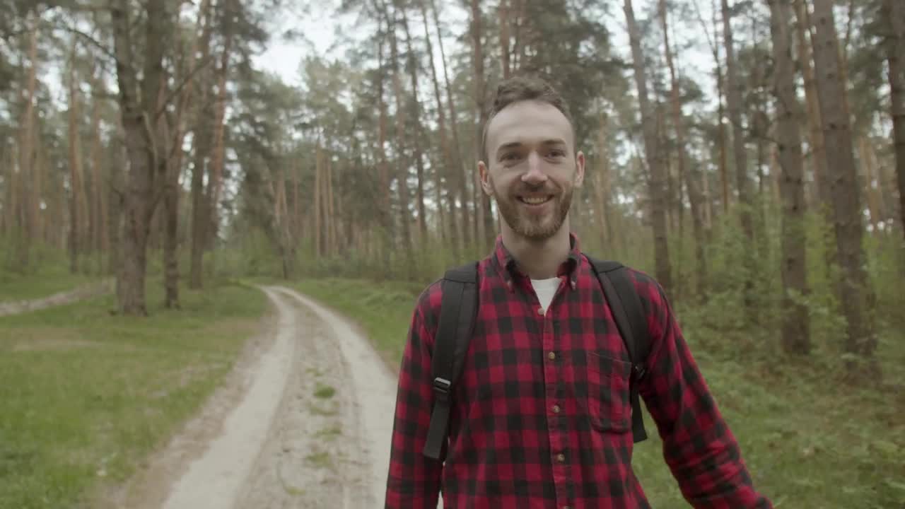 Stock Footage Walking In The Forest Behind The Leader Live Wallpaper - Free Download