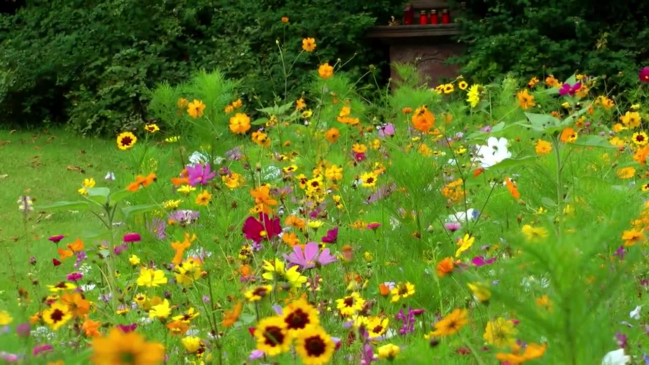 Stock Video Jesus Statue In The Garden Of A Cemetery Animated Wallpaper - Free Download