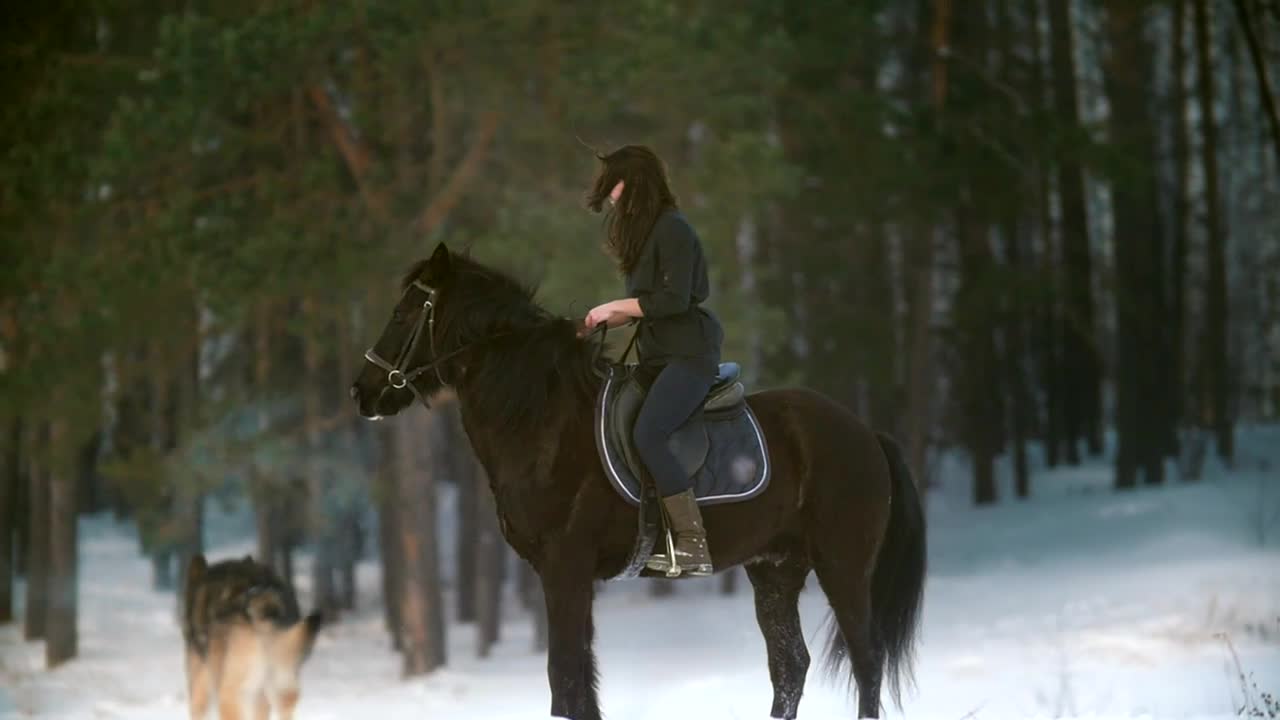Free Stock Video Woman Riding A Horse In A Snowy Forest Live Wallpaper - Free Download