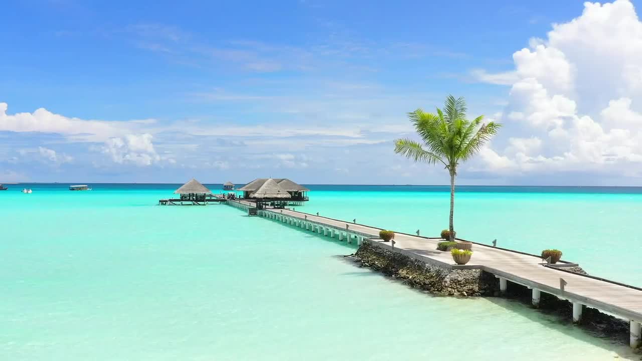 Stock Video Long Wooden Pier On A Paradisiacal Beach Animated Wallpaper - Free Download