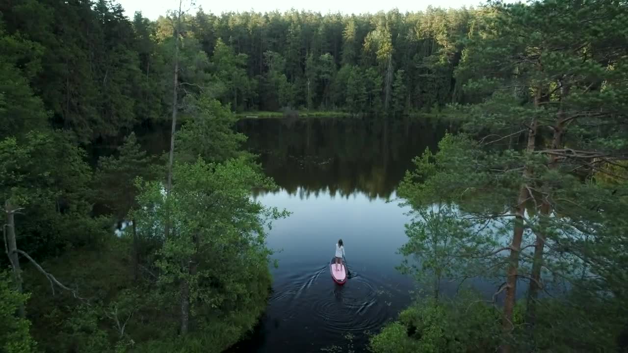 Free Stock Video Woman On A Paddleboard In The Lake Live Wallpaper - Free Download