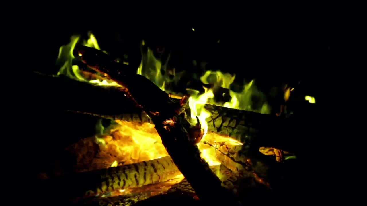 Video Stock Campfire At Night Close Up Live Wallpaper For PC - Free Download