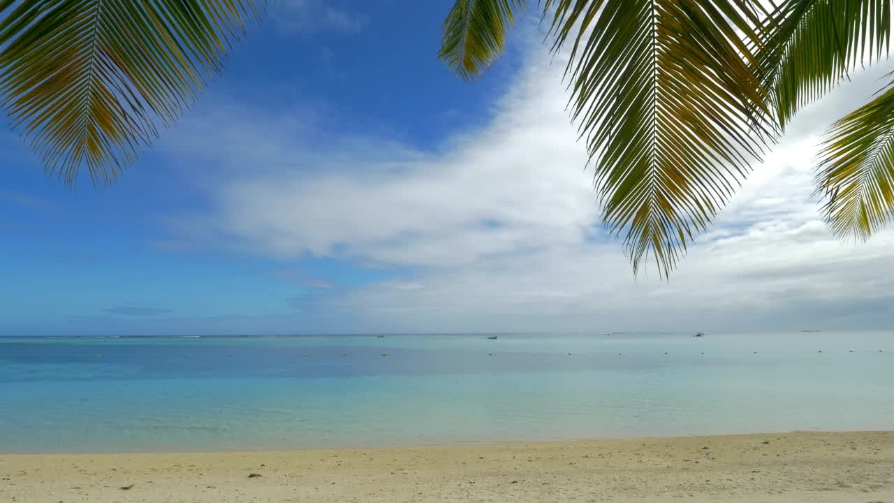Stock Video Gentle Breeze Across Tropical Sand Live Wallpaper For PC - Free Download