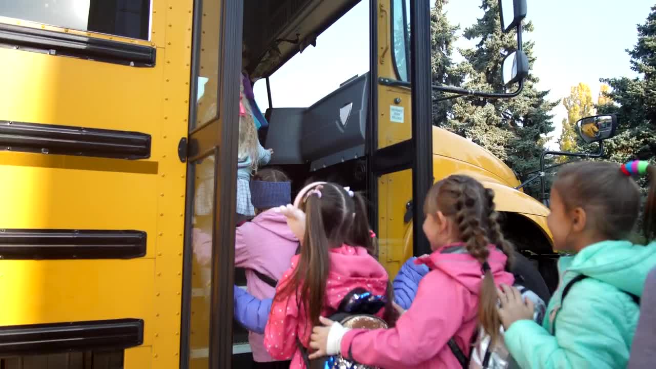 Stock Video Getting Ready For A School Trip Live Wallpaper For PC - Free Download
