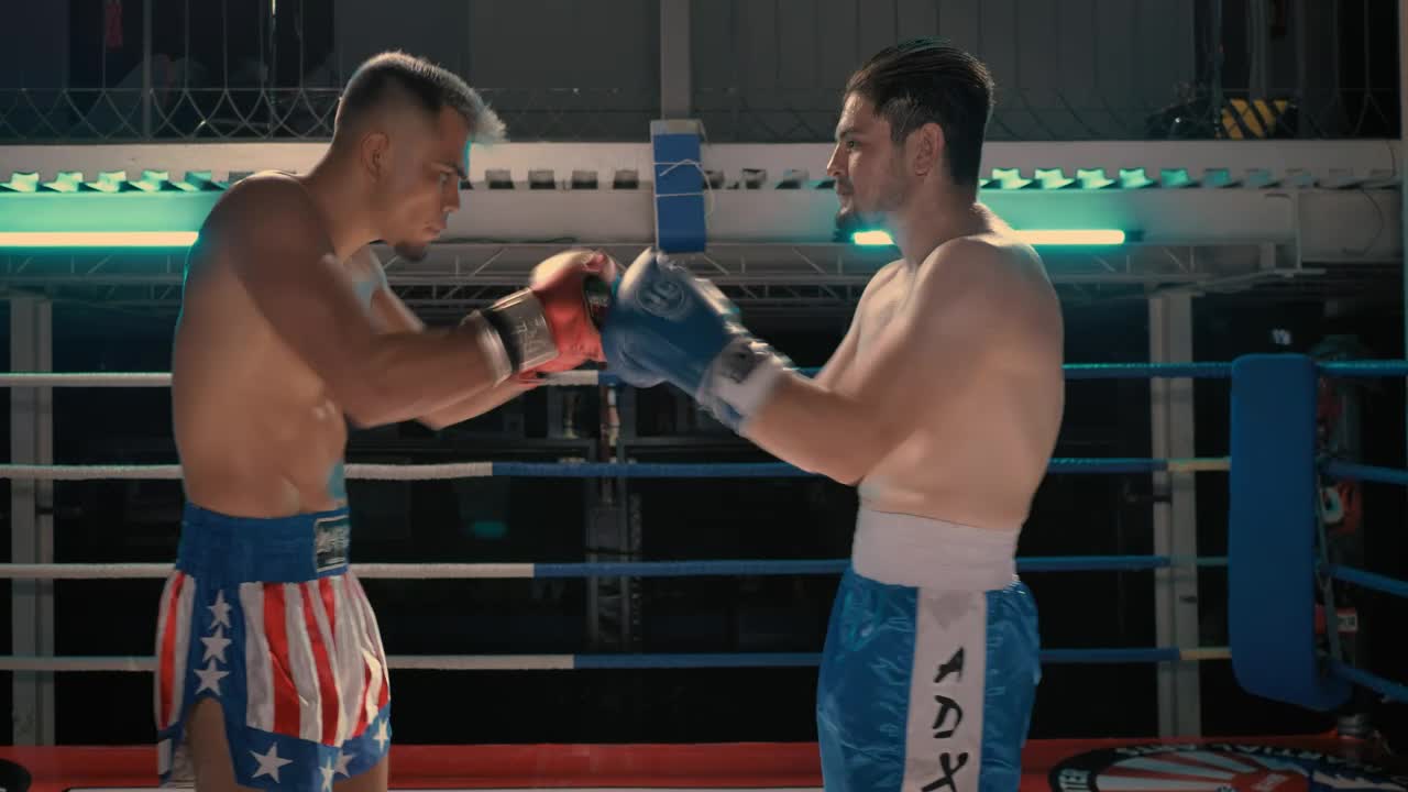 Video Stock Practice Fight Between Boxers Live Wallpaper Free - Free Download
