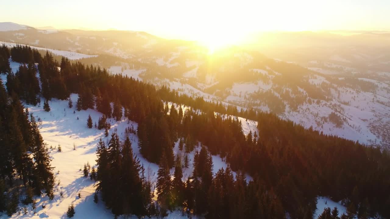 Free Video Stock Snowy Mountains With Pine Trees During Sunrise Live Wallpaper - Free Download
