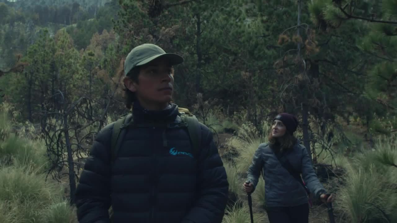 Stock Video Couple Exploring A Forest Live Wallpaper For PC - Free Download