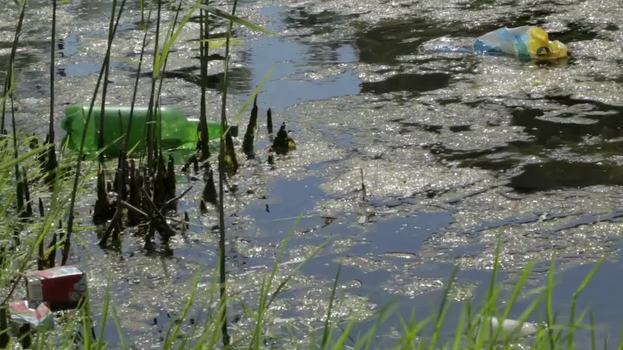 Video Stock Pollution In The Water Live Wallpaper Free - Free Download