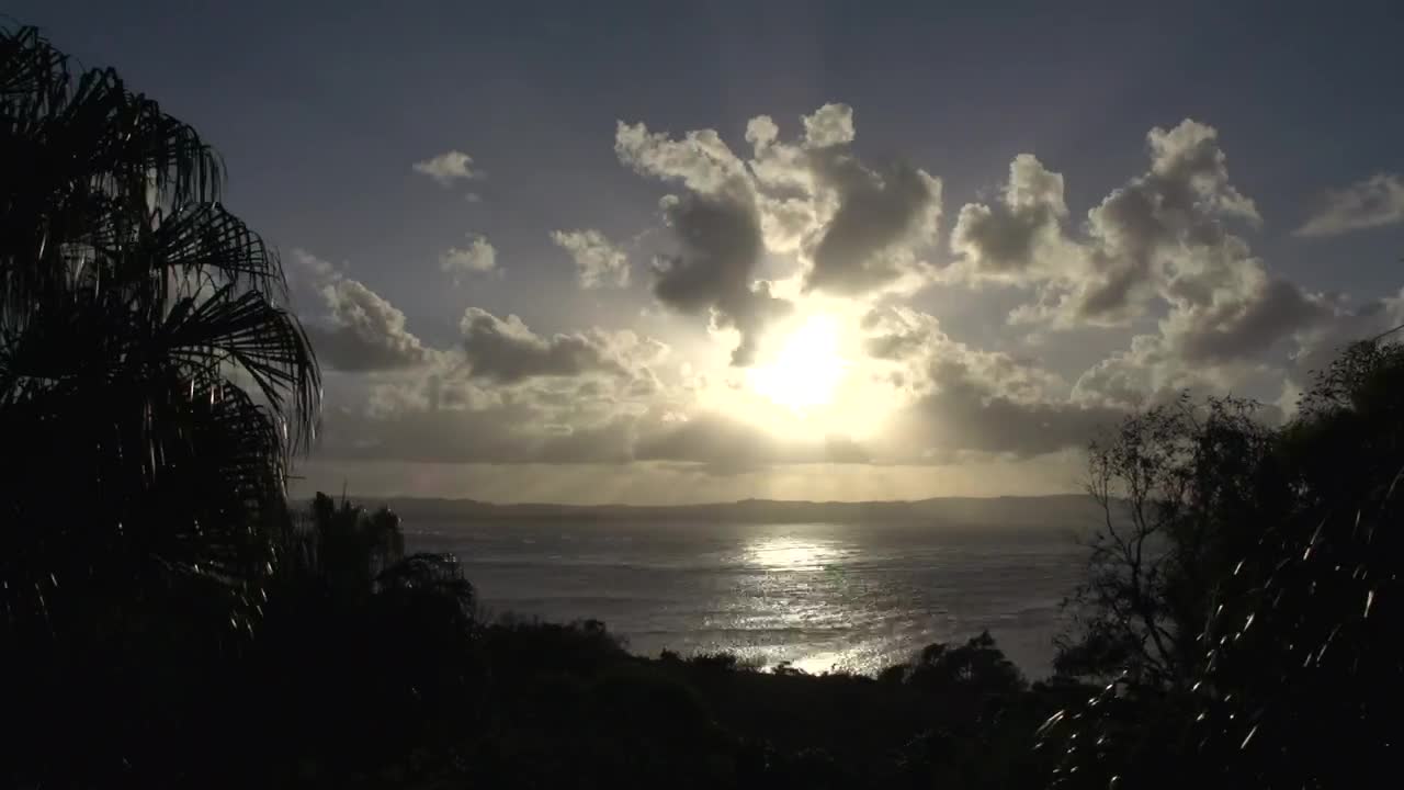Free Video Stock sunset between the trees over the bay Live Wallpaper - Free Download