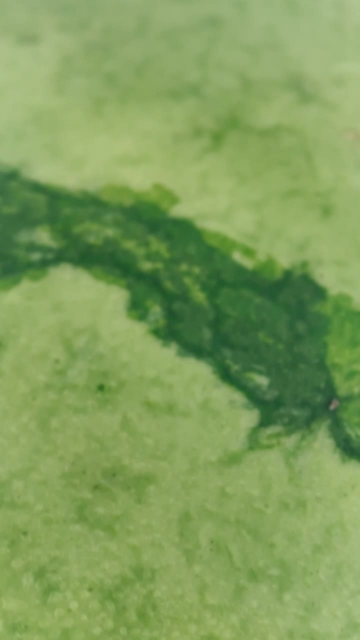 Stock Video Peel Of A Watermelon Live Wallpaper - Free Download