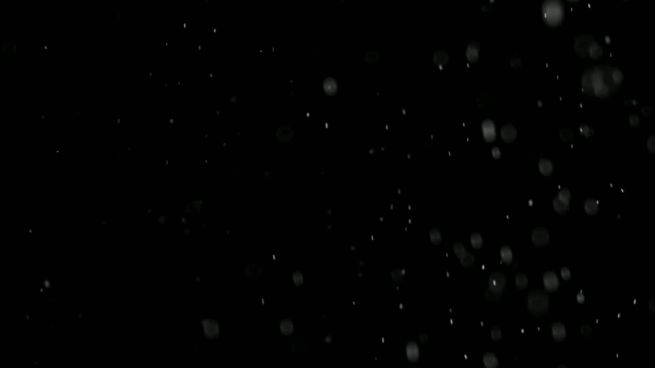 Stock Video Natural Snow Falling Live Wallpaper - Free Download