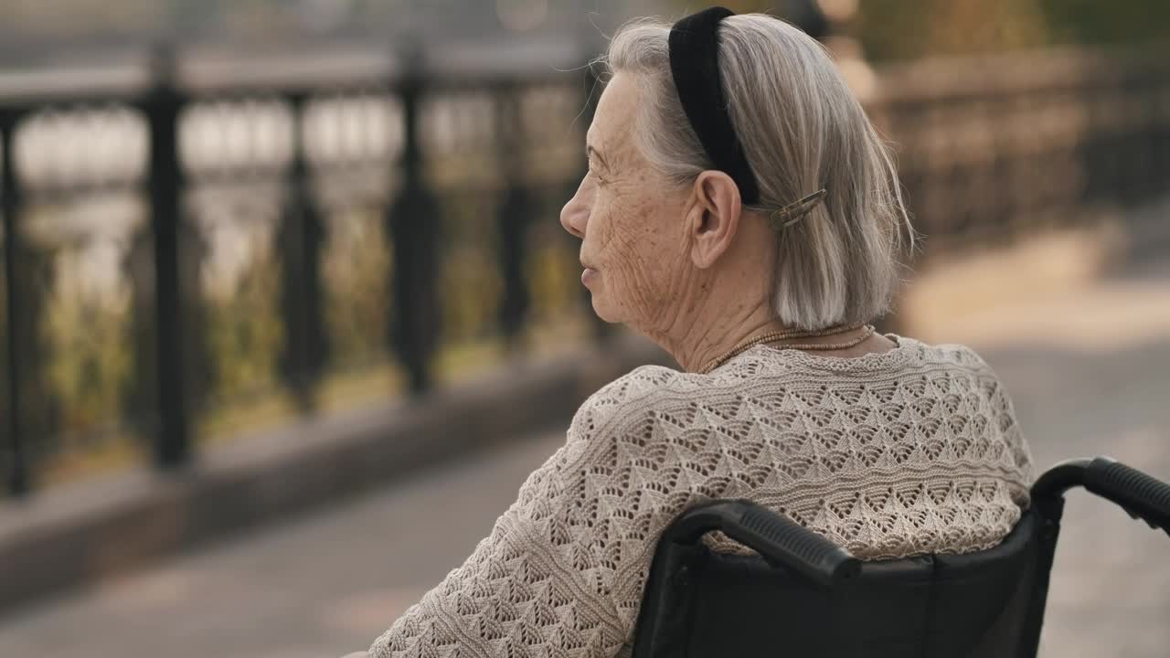 Video Stock Calm Elderly Woman In Wheelchair In A Park Live Wallpaper For PC - Free Download