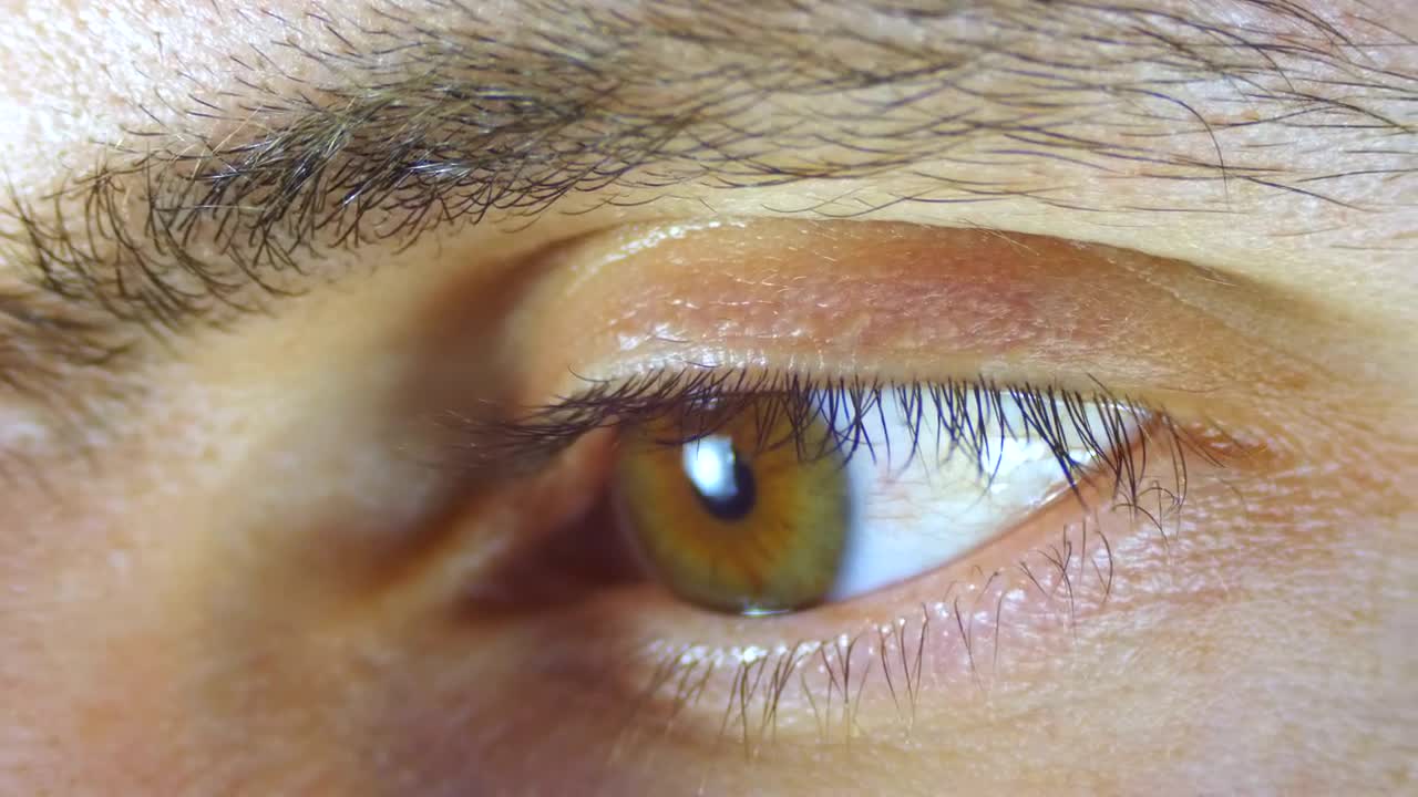 Stock Video Macro Shot Of A Human Eye Blinking Animated Wallpaper - Free Download