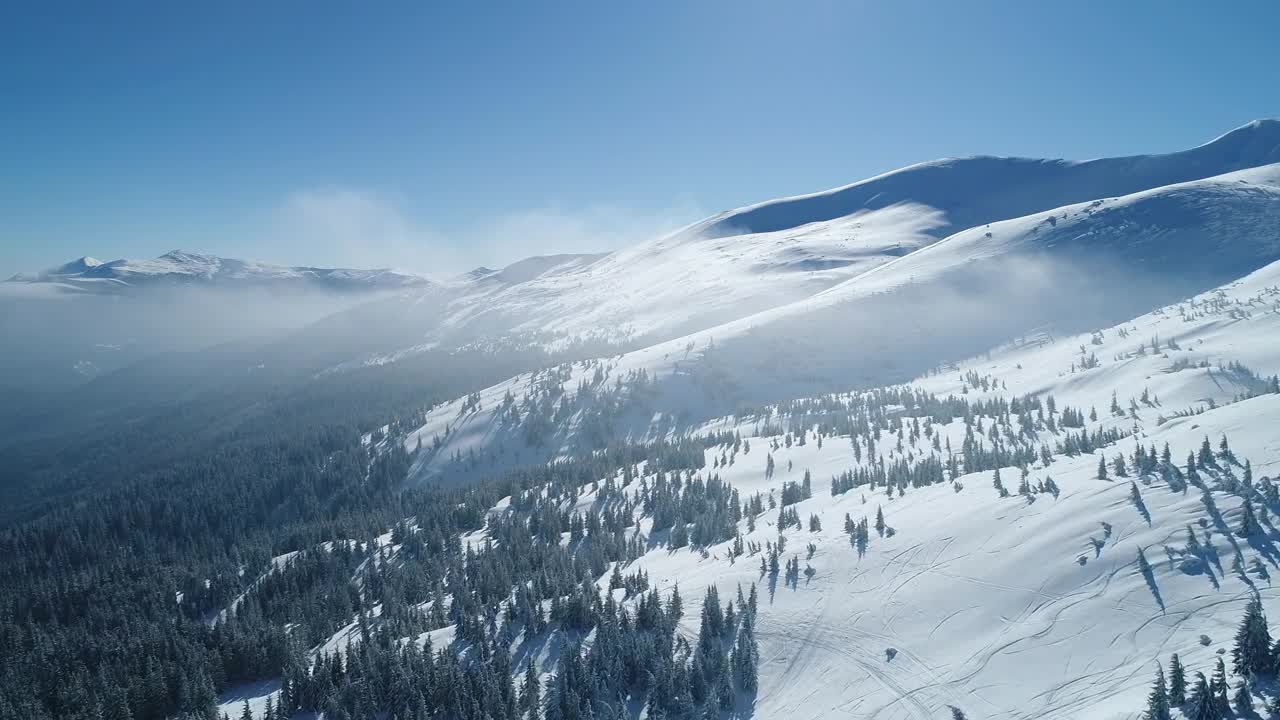 Stock Video Fog Covering A Beautiful Snowy Forest Live Wallpaper For PC - Free Download