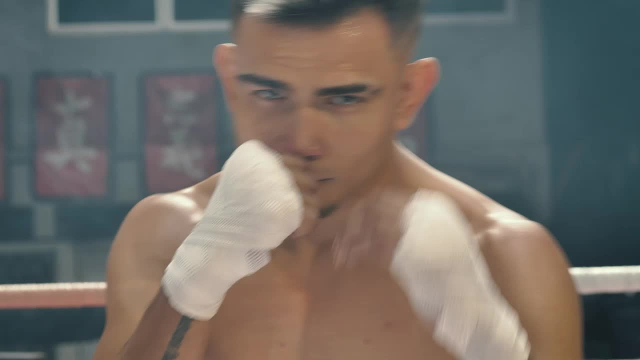 Video Stock Portrait Of An Amateur Boxer While Training Live Wallpaper Free - Free Download