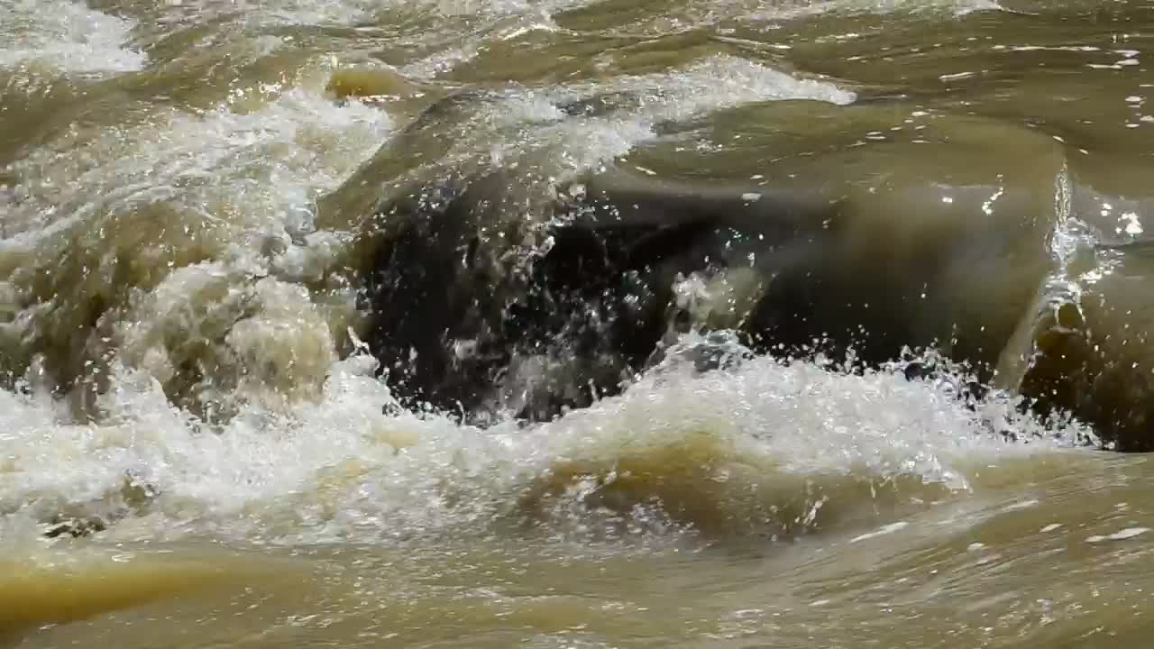 Stock Video Dirty River Water Live Wallpaper For PC - Free Download