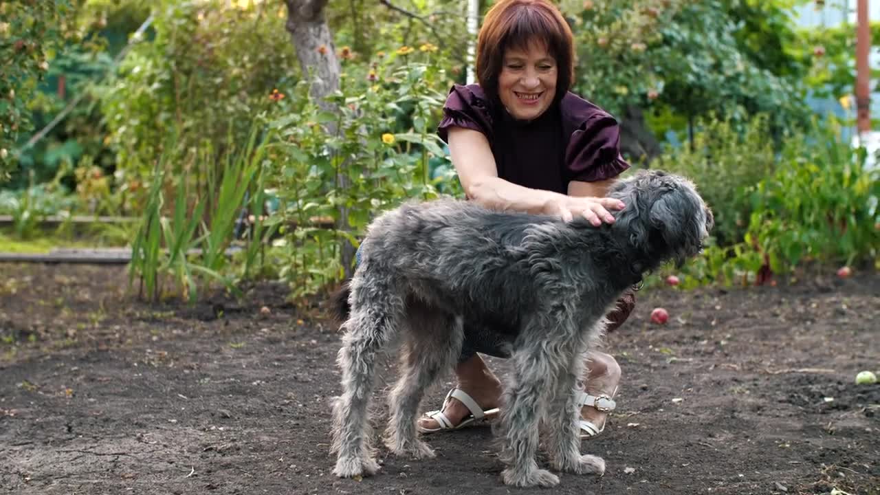 Free Stock Video Woman Caresses Her Dog In The Garden Live Wallpaper - Free Download