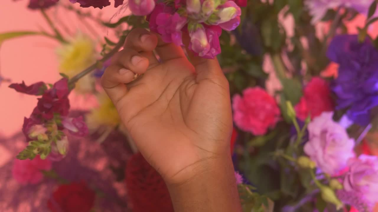 Stock Video Hand Of An Lgbtq Man Stroking Flowers Live Wallpaper For PC - Free Download