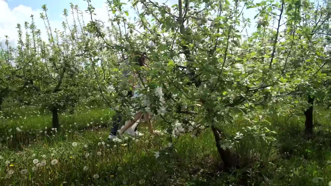 Stock Video Married Couple Running Through Tree Animated Wallpaper - Free Download