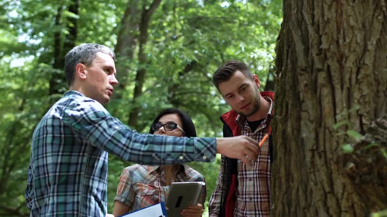 Free Video Stock team of researchers discussing about a tree Live Wallpaper - Free Download
