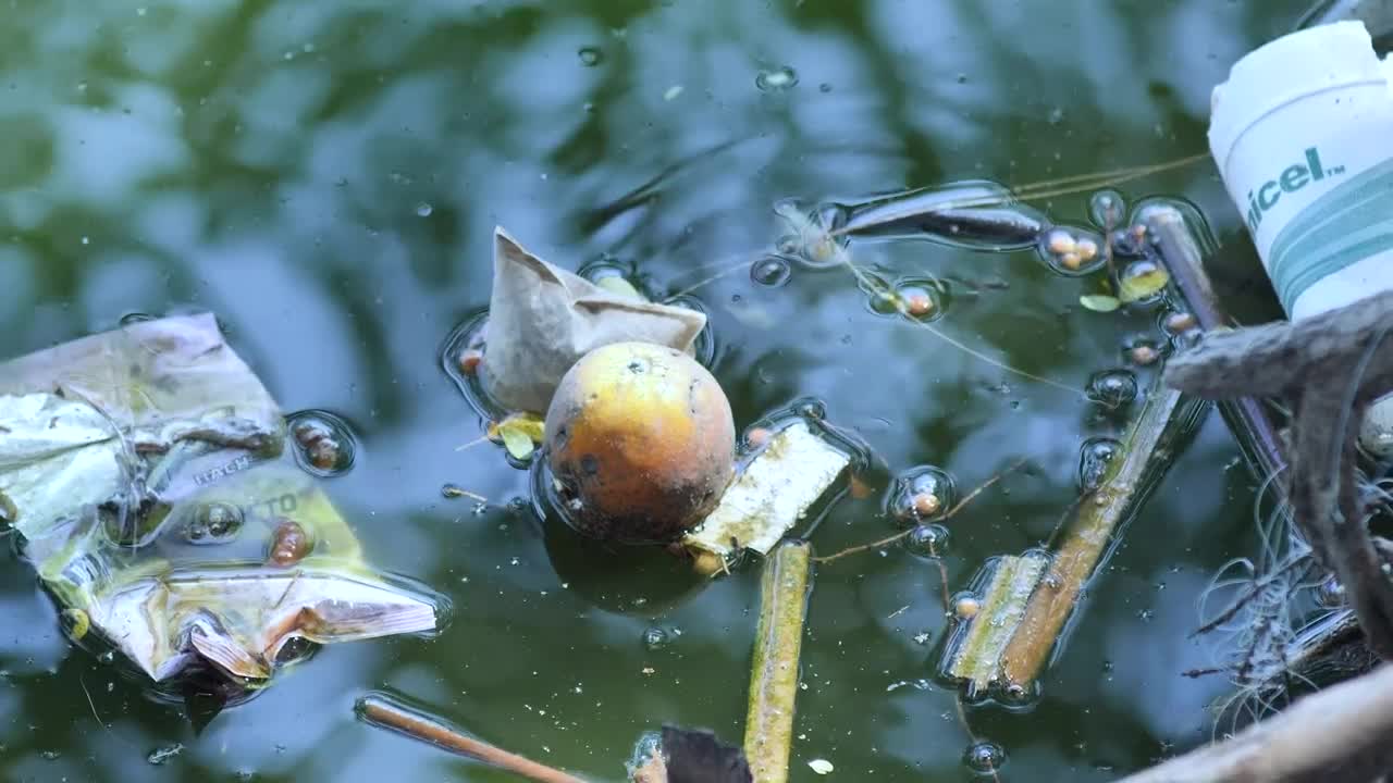Stock Video Garbage Floating In Dirty Water Live Wallpaper For PC - Free Download