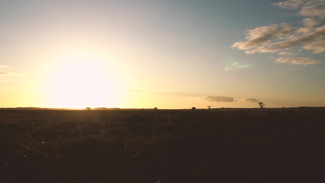 Free Video Stock sunset in the distance in a desert Live Wallpaper - Free Download