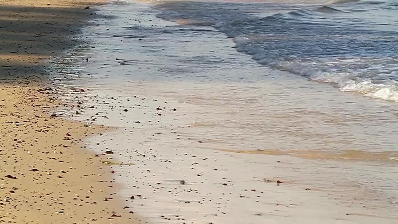Free Stock Video Shallow Waves On A Dirty Beach Live Wallpaper - Free Download