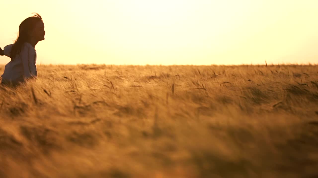 Stock Video Little Girl Runs Freely Across Field Of Wheat At Sunset Animated Wallpaper - Free Download