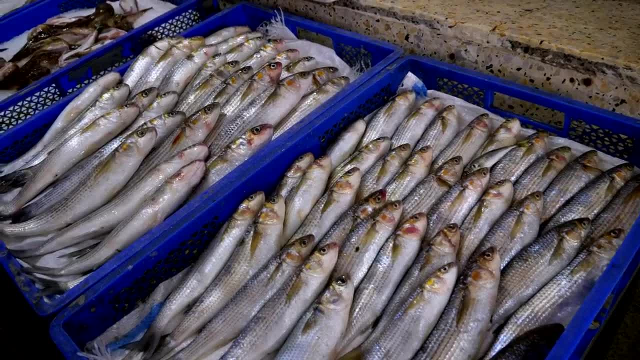 Stock Video Fresh Fish On Ice Trays Ready For Sale Live Wallpaper For PC - Free Download