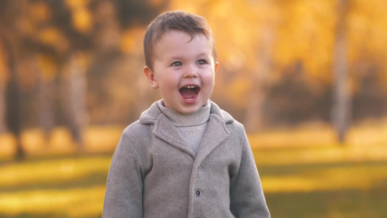 Free Stock Video Very Cheerful Child Smiling In The Autumn Park Live Wallpaper - Free Download