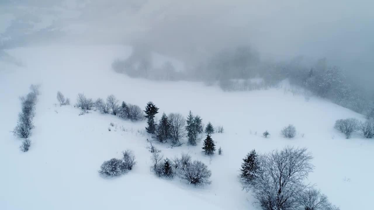 Stock Video Frozen Foggy Landscape High View Live Wallpaper For PC - Free Download