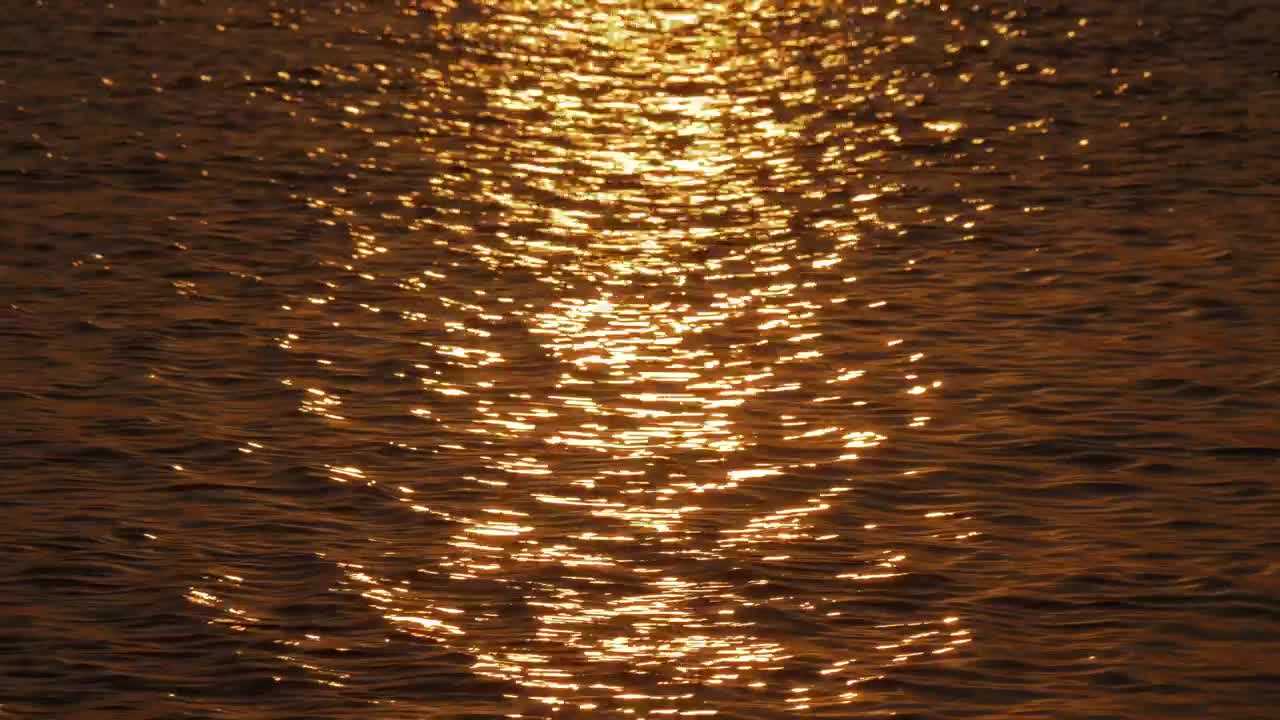 Stock Video Golden Sunshine Reflecting In The Bay Live Wallpaper For PC - Free Download