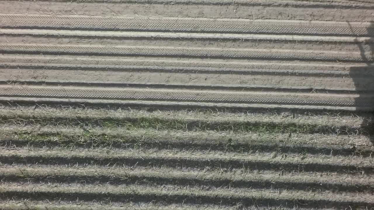Stock Video Harvesting Potato Crops Animated Wallpaper - Free Download