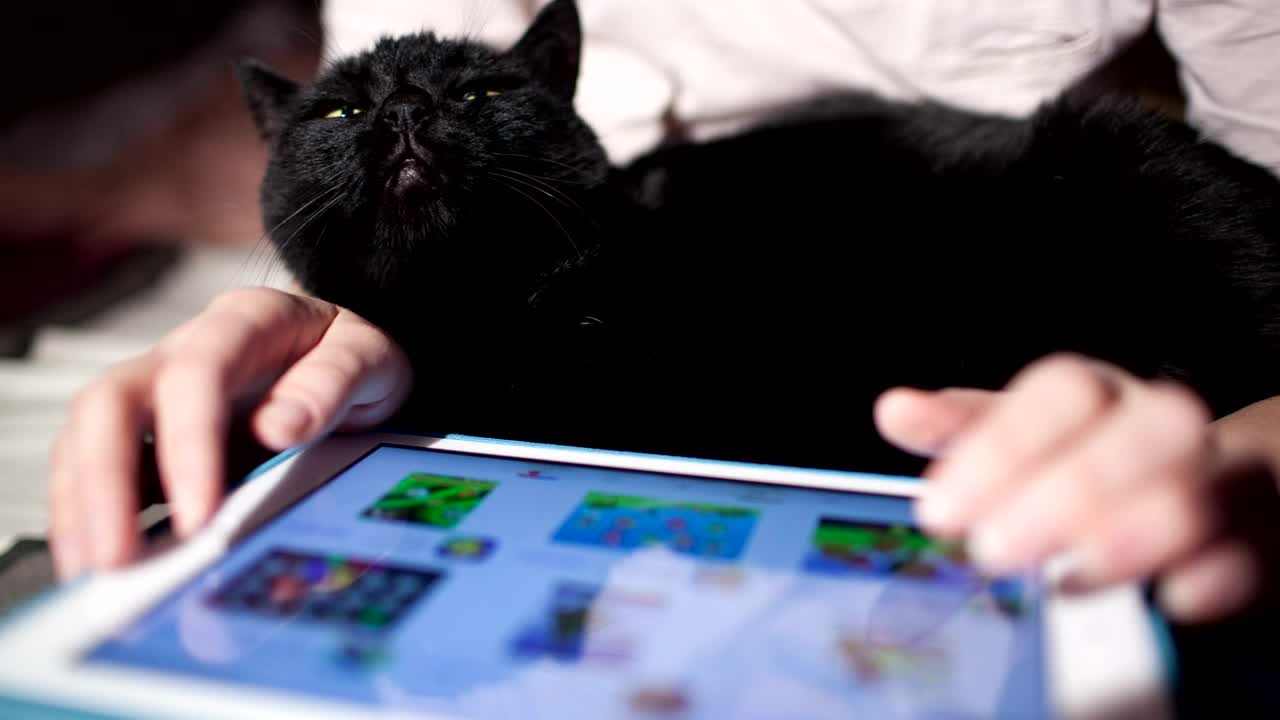 Free Stock Video Shopping Online Using A Touchscreen Live Wallpaper - Free Download
