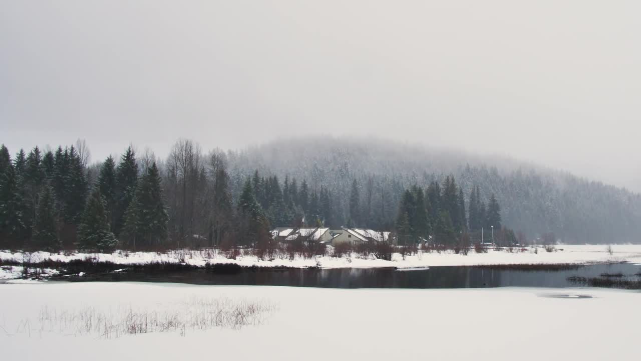 Stock Video Open Environment Of A Cold And Snowy Forest Live Wallpaper - Free Download