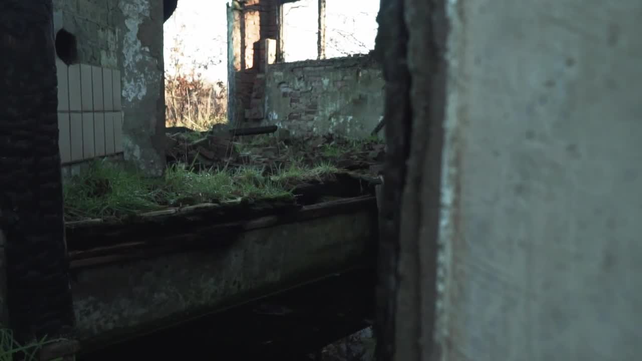Free Stock Video Ruined Room Of An Abandoned House Live Wallpaper - Free Download