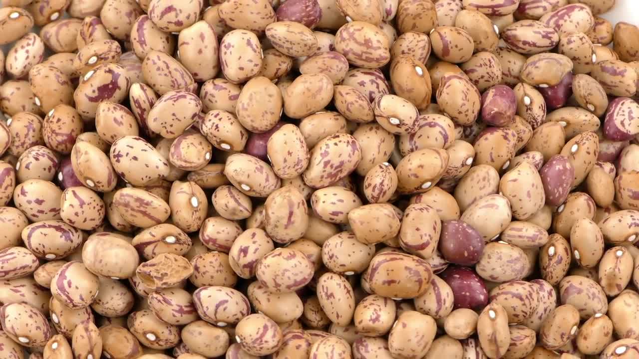 Stock Video Beans In Detail Spinning Shot Live Wallpaper For PC - Free Download