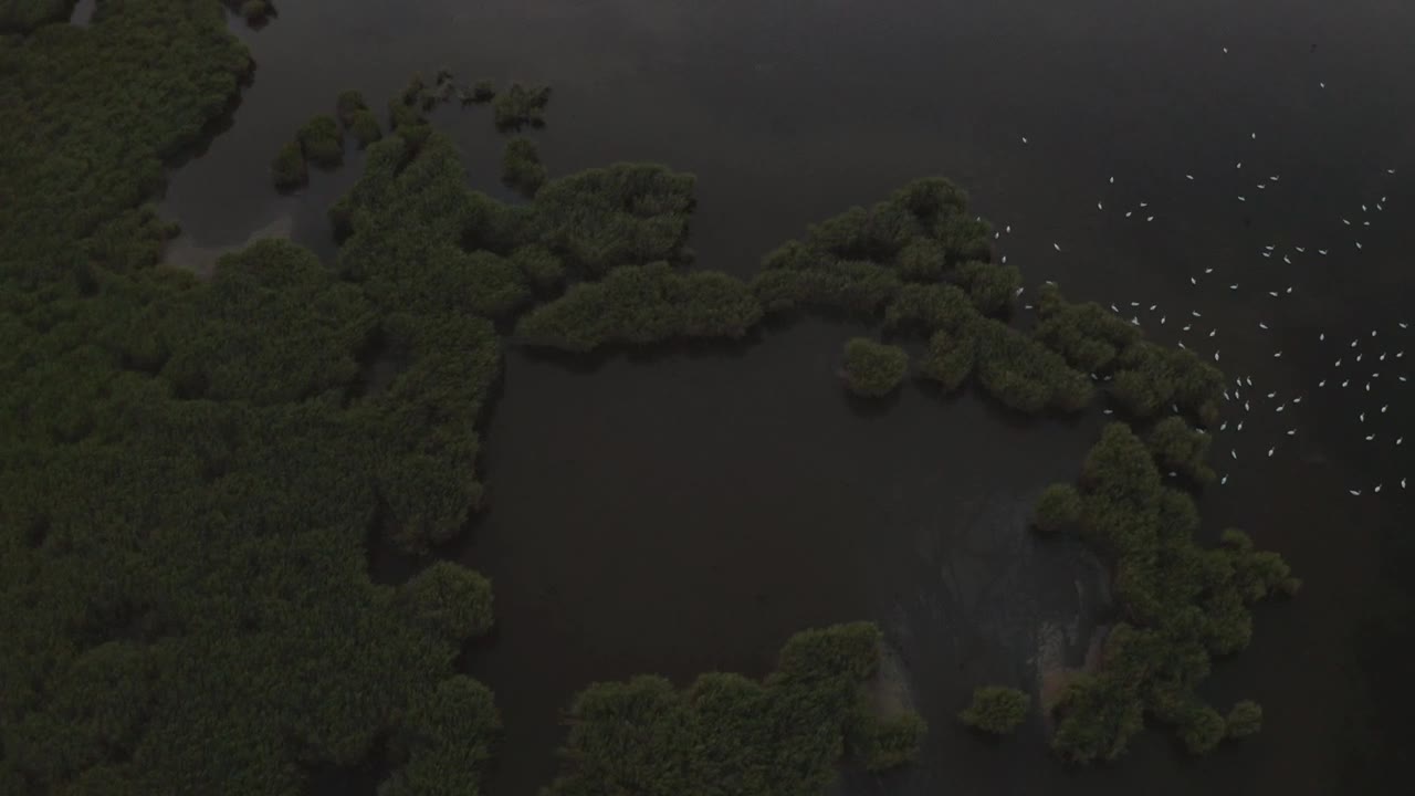 Stock Video Flying Over Flooded Fields Live Wallpaper For PC - Free Download
