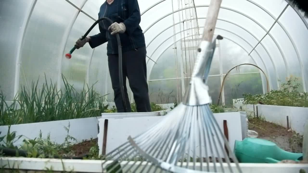 Stock Footage Watering The Plant With A Hose In The Greenhouse Live Wallpaper - Free Download