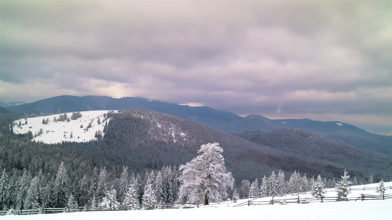 Free Video Stock Snowy Forest And Mountain With Cloudy Sky Live Wallpaper - Free Download