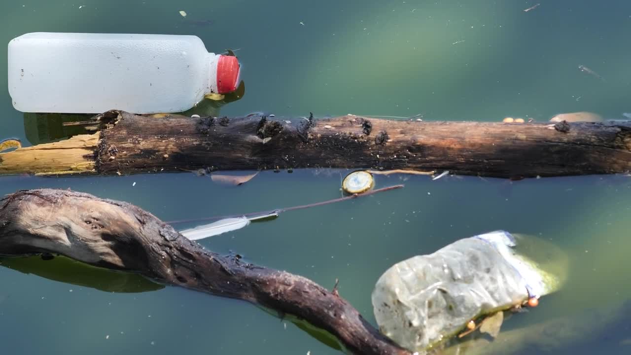 Stock Video Garbage In A River Very Close View Live Wallpaper For PC - Free Download
