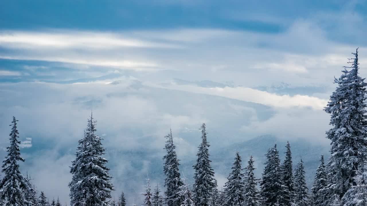 Video Stock Clouds And Fog Covering The View From A Snowy Woods Live Wallpaper For PC - Free Download